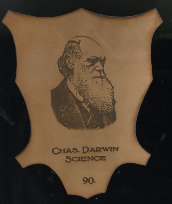 90 Darwin